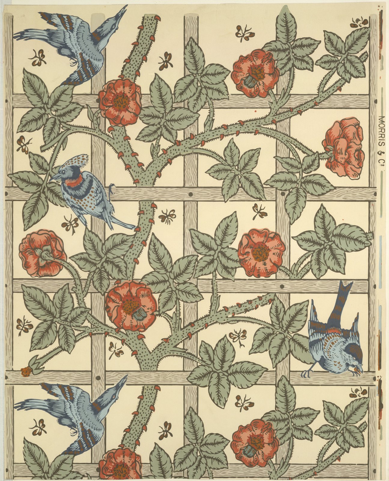 Graticcio - William Morris