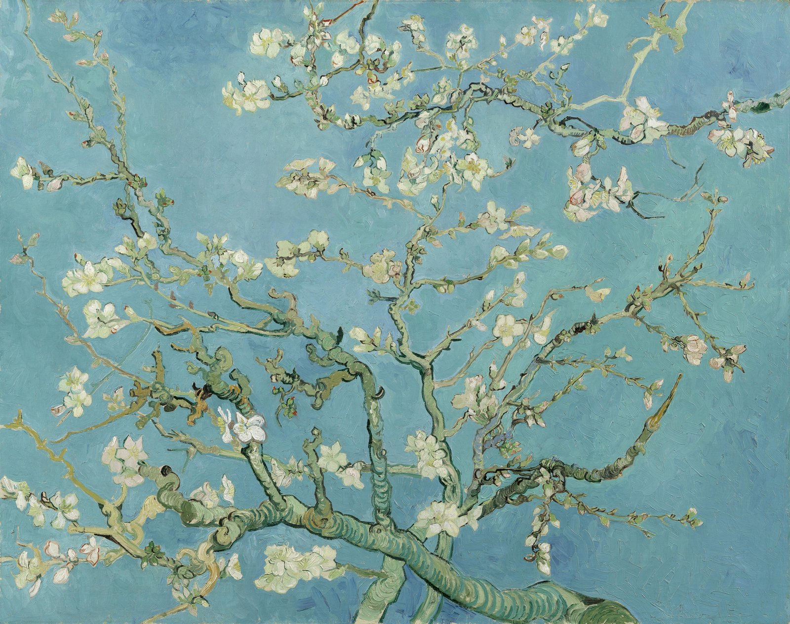 Mandorlo in fiore - Vincent van Gogh