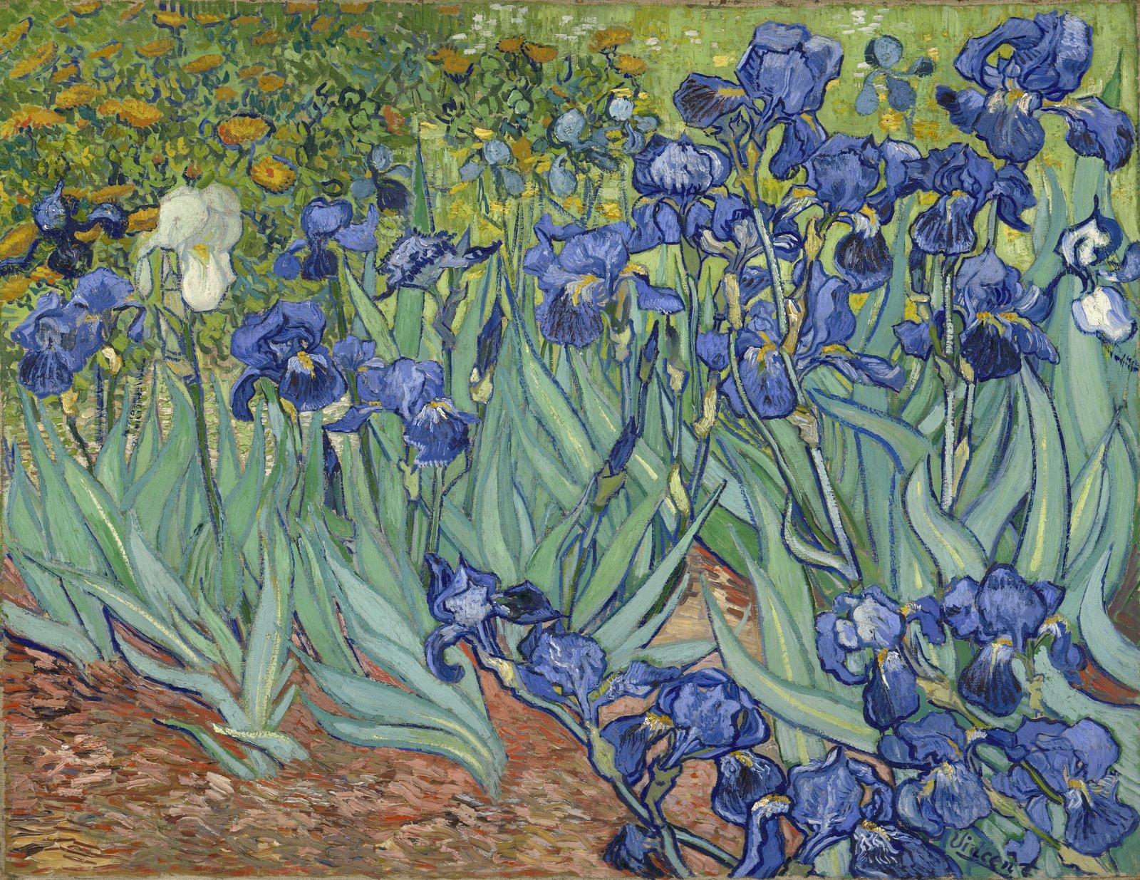 Iris - Vincent van Gogh
