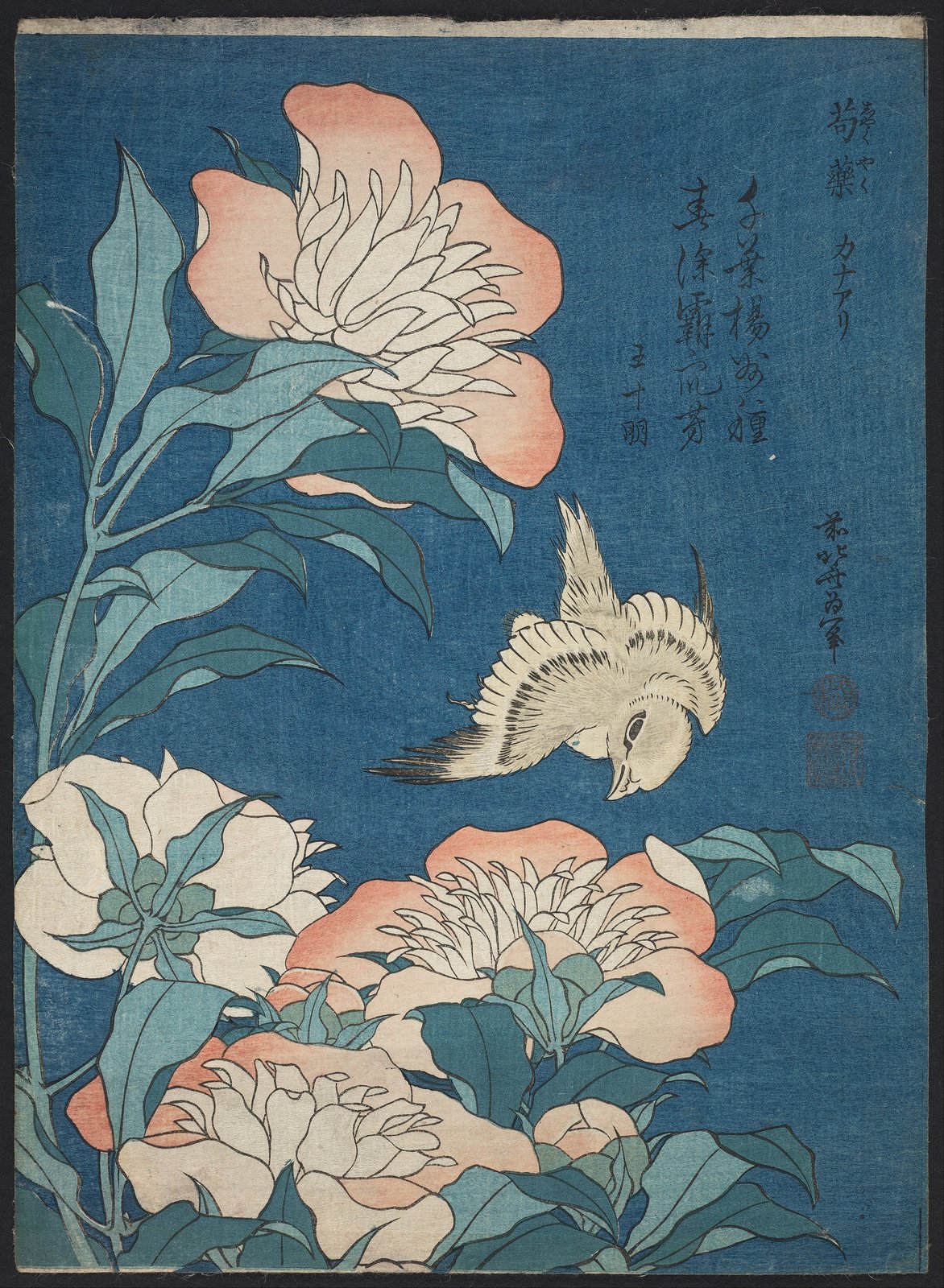 Peonie e canarino - Katsushika Hokusai