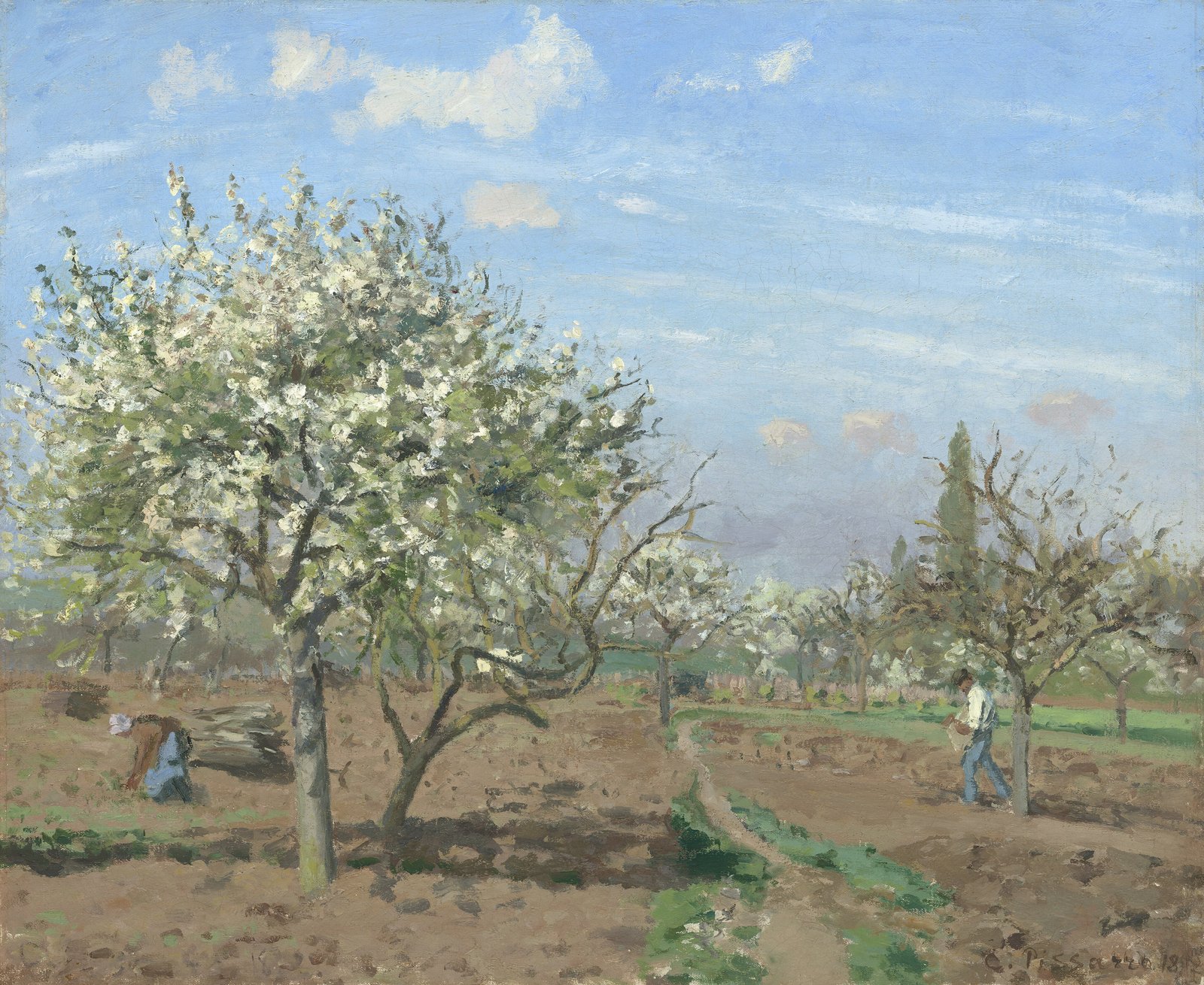 Frutteto in fiore, Louveciennes - Camille Pissarro